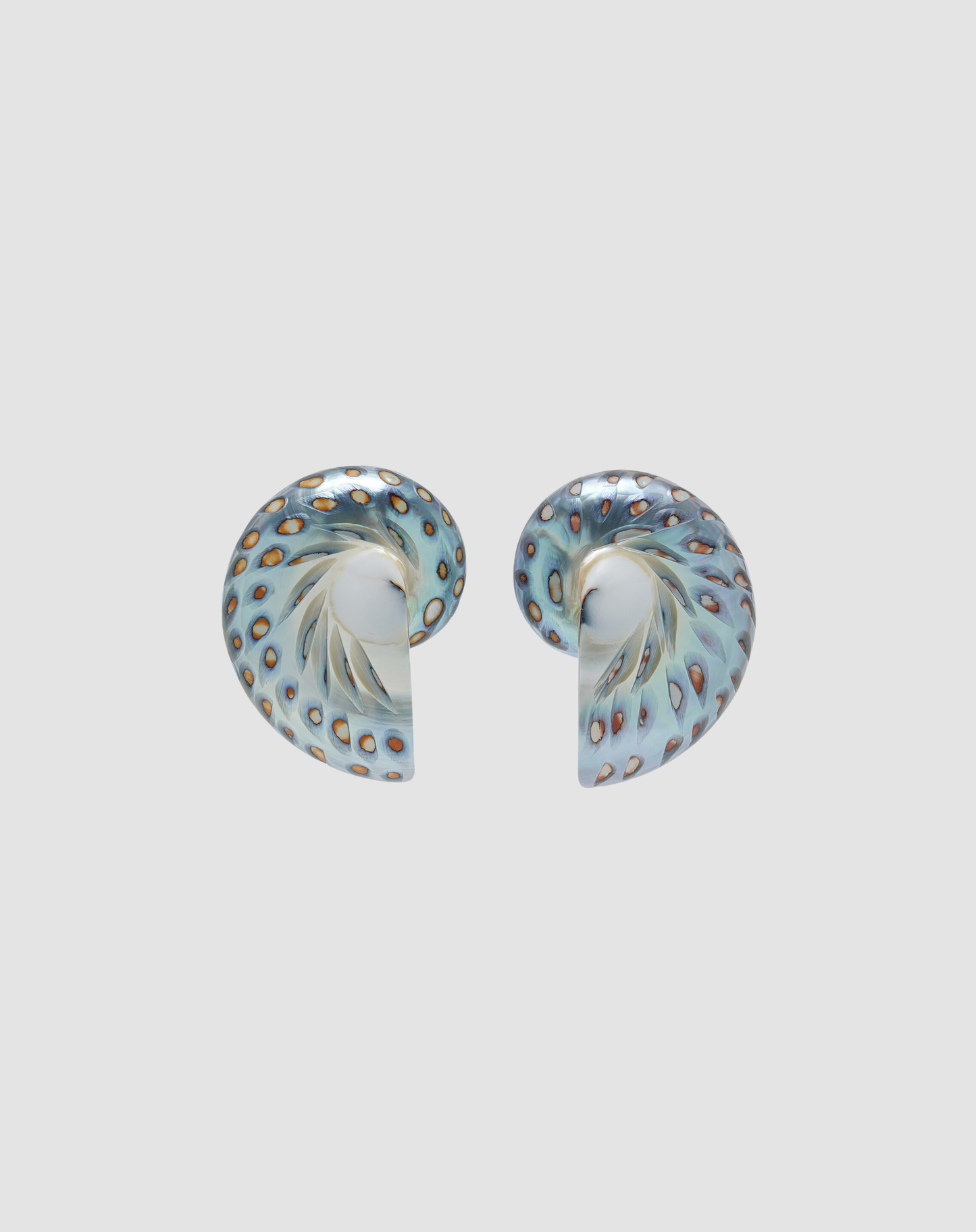 Nautilus Earrings